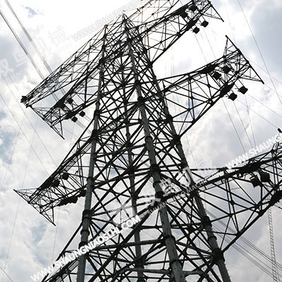 双鸟电动葫芦在电力行业中的使用案例